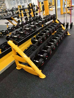 Reihen-Dummkopf-Gestell 80kg des Übungs-Muskel-Turnhallen-Club-Eignungs-Dummkopf-2