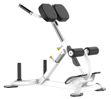 Maschine Rohs Roman Chair Back Extension Exercise für Turnhalle