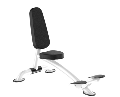 Maschine Rohs Roman Chair Back Extension Exercise für Turnhalle
