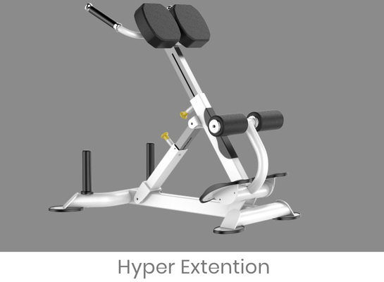 Maschine Rohs Roman Chair Back Extension Exercise für Turnhalle