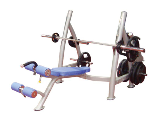 Kundenspezifische Logo Exercise Muscle Metal Decline-Turnhallen-Gewichts-Bank