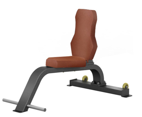 Innenvielzweckturnhallen-flache Trainings-Bank des Body Building-ISO9001