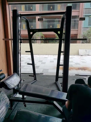 Umfassende Reihen-Maschine Trainer-Fitness Smith Machine Squat Rack Gym