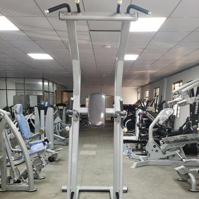 Bodybuildendes Eignungs-Chin Up Bar Body Fit-Maschine Soem-ODM