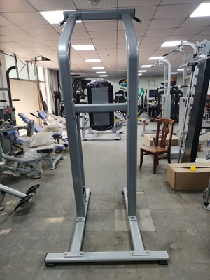 Bodybuildendes Eignungs-Chin Up Bar Body Fit-Maschine Soem-ODM