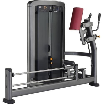 Bodybuildende Eignung, die multi Hüften-Maschinen-integrierten Turnhallen-Trainer steht