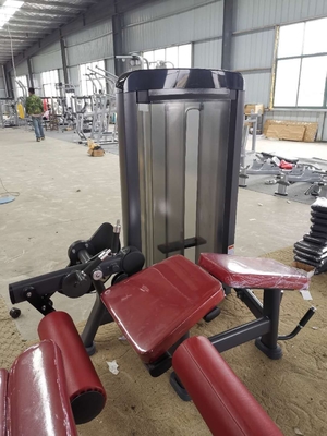 Soem-Bauchmuskeltraining-Maschinen-Magen-Ausbildungsanlageen 180kgs