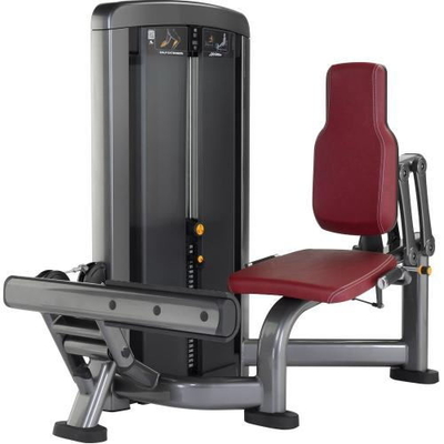 Turnhallen-Body Building-ovales Rohr Sitzkalb-Erhöhungs-Maschine