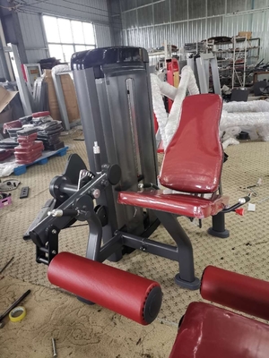 Neue Leben-Eignungs-Ausrüstung breitete Sitz-Tricep-Presse-Maschinen-Pulver-Beschichtung aus